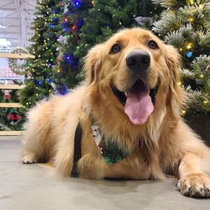 Fundraising Page: Cindy Rich